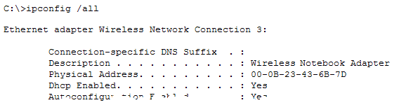Get the NIC's MAC Address using IPConfig